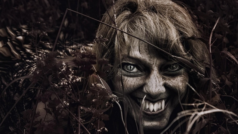 fantasy art, dark, teeth, front view, mammal, real people, nature, photo, young adult, creature, looking at viewer, young women, close-up, day, photo manipulation