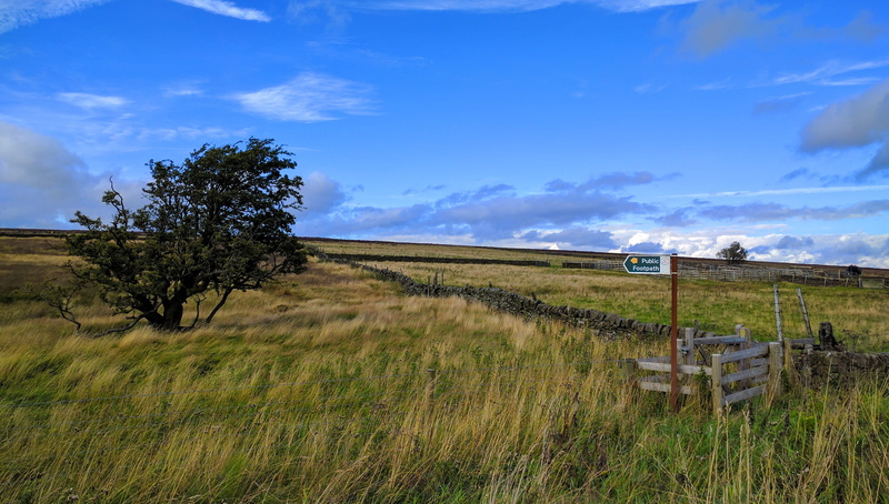 environment, day, beauty in nature, landscape, rural scene, outdoors, nr stony ridge road, land, plant, tranquility, non-urban scene, growth, tranquil scene