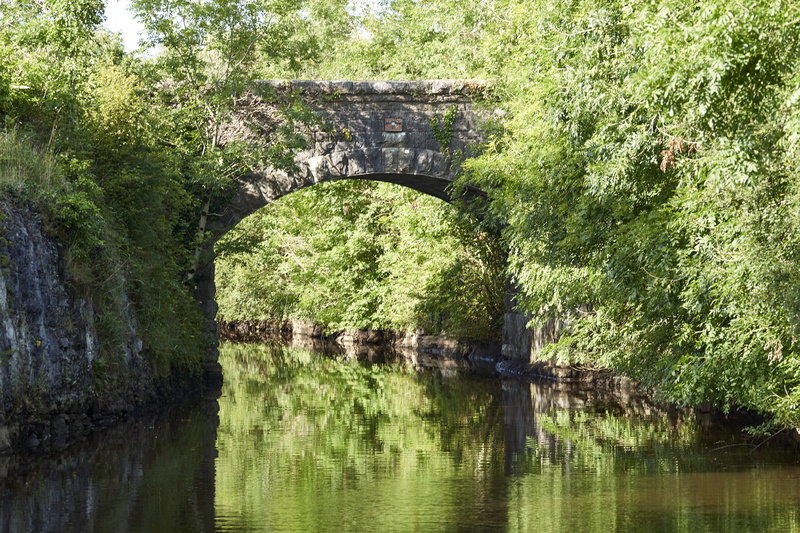 architecture, 5K, tree, bridge - man made structure, bridge nr. 10, canal, no people, outdoors, tranquility, water, reflection, waterway, ireland, waterfront