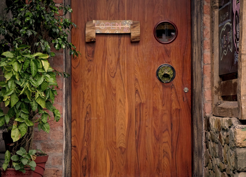 nature, indoors, growth, vintage, entrance, no people, flooring, india, door, 5K, leaves, plant part, wood, wood - material, potted plant, wall - building feature