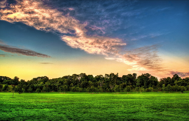 summer, dawn, sunrise - Dawn, cloud - Sky, forming, landscape, rural Scene, outdoors, orange sky, landscape photography, bardia, nikon, meadow, 1080P