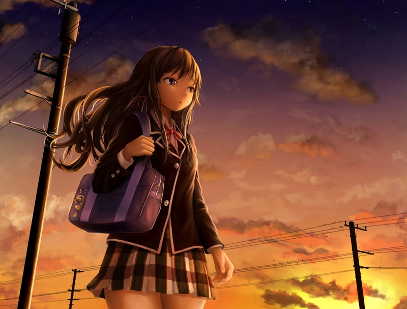clouds, papi, yukinoshita was load, sunset, bag, yahari ore no seishun love come wa machigatteiru., the sky, art, anime, 1080P, schoolgirl, form, girl