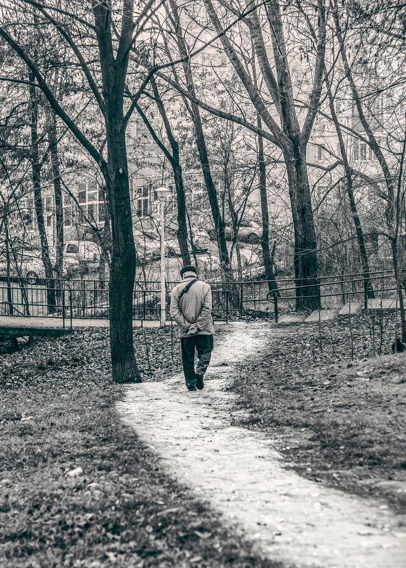 outdoors, footpath, one person, black-and-white, winter, landscape, land, trees, rear view, forest, white, tree, walk, nature, road, season, adult, day