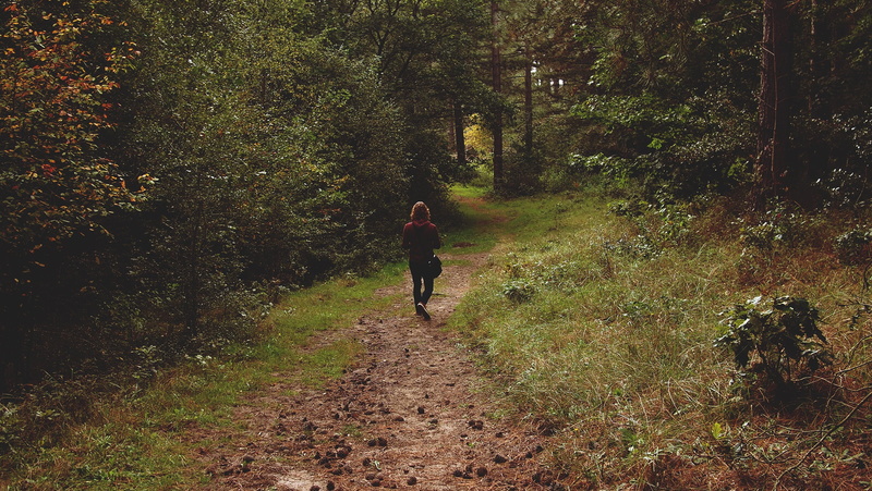 green, sports Clothing, hooded, running, walking, outdoor, green color, park, outdoors, jogging, thinking, dirt Road, leisure activity, footpath, land