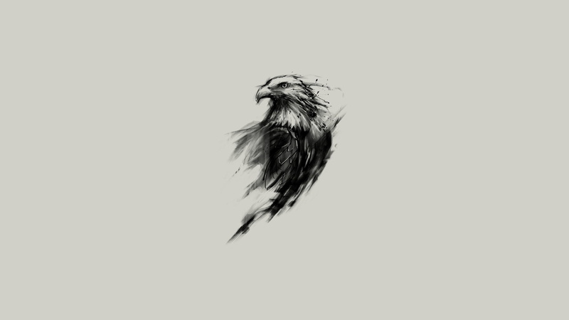 monochrome, one animal, vertebrate, eagle, 1080P, indoors, bird, animals, animal wildlife, simple background, no people, studio shot, animals in the wild