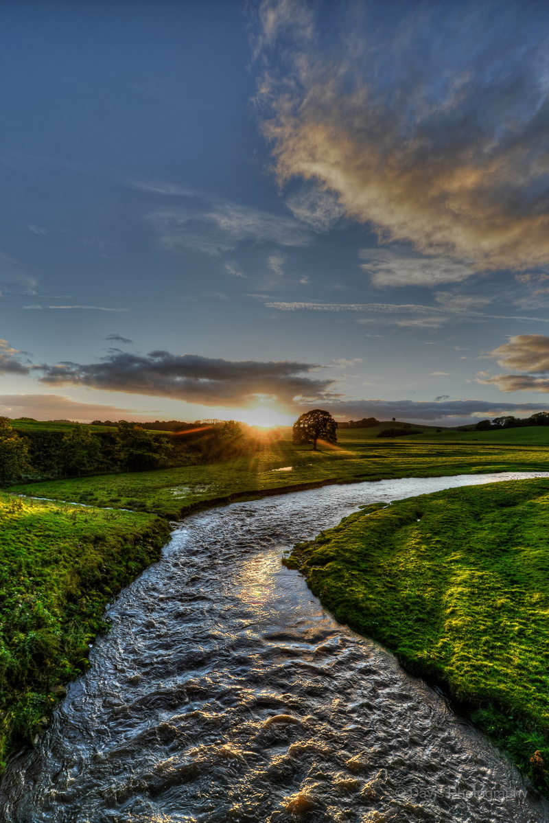 outdoors, open field, field, river bend, River Aire, grass, cloud - Sky, tree  river, suns, curved, scenics, countryside, Skipton, Rays, oak tree, Sunset