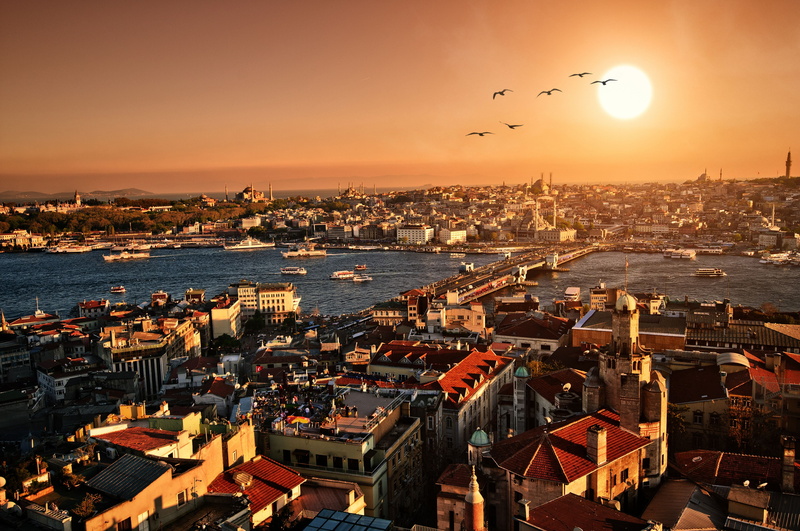 tower, travel destinations, town, famous Place, nautical Vessel, bosphorus, history, church, built Structure, animal, buildings, harbor, nature, sky, galata District