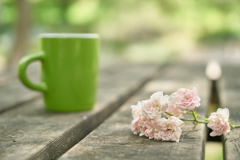 5K, b add, green, freshness, hot, selective focus, nature, wood - material, current season, garden, close-up, flowering plant, love, vulnerability, outdoors
