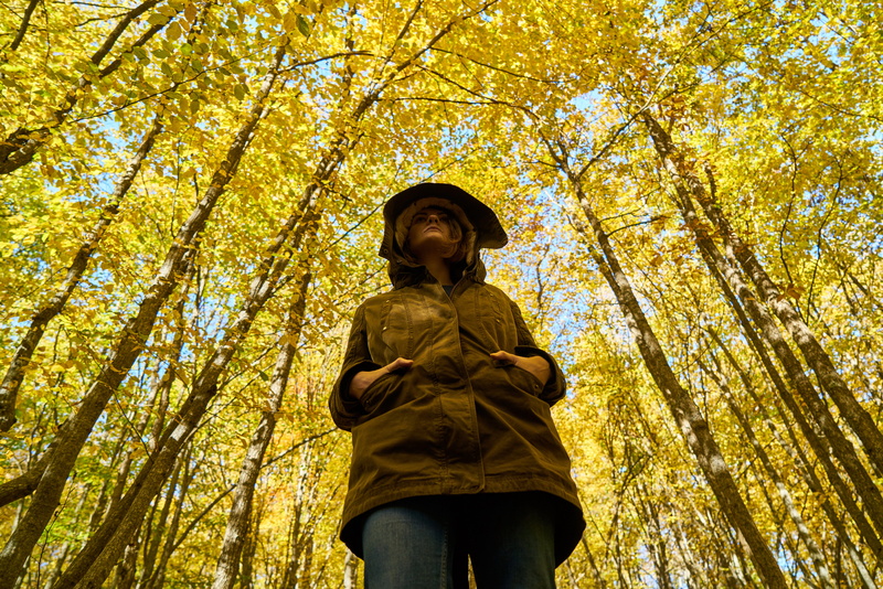 photography, autumn, trees, young adult, human, stand alone, three quarter length, young, real people, sad, young girl, lifestyles, the young woman, b add