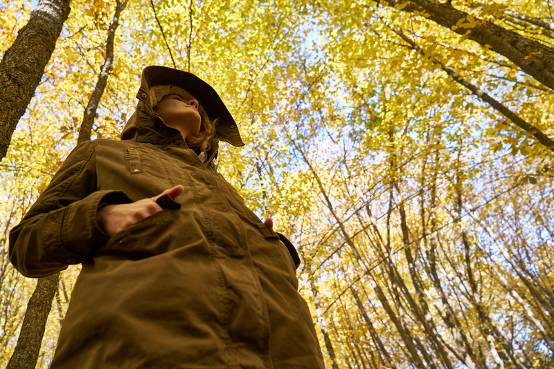 colors, live, plant, low angle view, tree, dry leaves, looking, clothing, outdoors, lifestyles, detail, adult, background, day, only, nature, wood tissue