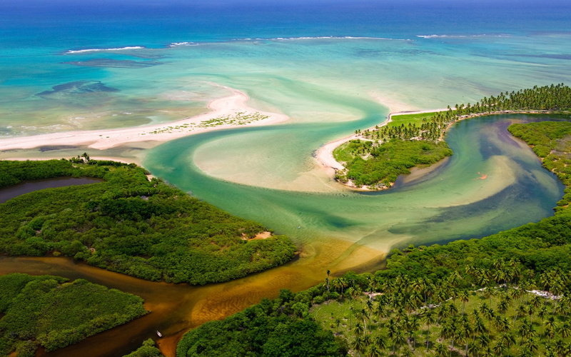Aerial View, tranquility, environment, 1080P, no people, growth, brazil, water, tree, day, river, beach, tranquil scene, Jungles, plant, Estuaries, outdoors