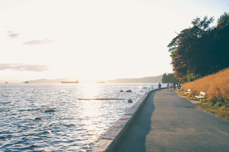 street, copy space, green, body, grass, the way forward, sunlight, outdoors, tranquil scene, path, walking, time, mountain, exercise, gray, tree, waves