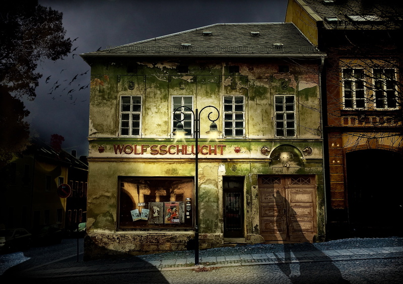 building, midnight, creepy, window, hour, weird, horror, plant, house, nature, footpath, built structure, ghosts, entrance, homes, shadow, tree, city, communication
