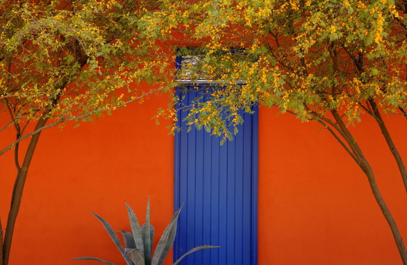 Nature, Landscape, Tucson, District, 1080P, Barrio, Arizona