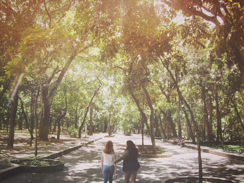 bonding, los caobos park, caracas, two people, growth, love, footpath, tree, emotion, direction, plant, women, treelined, lifestyles, togetherness, day
