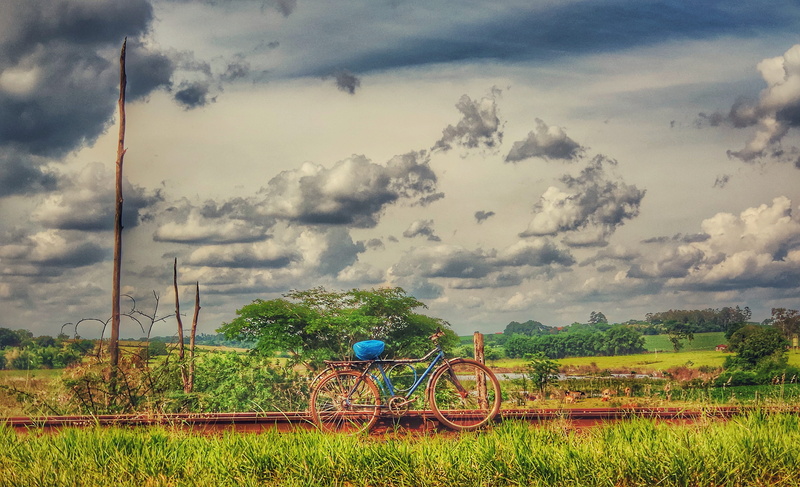 r. cel. pedro pocay, transportation, sky, mode of transportation, land, growth, scenics - nature, field, agriculture, 2K, plant, salto grande, landscape