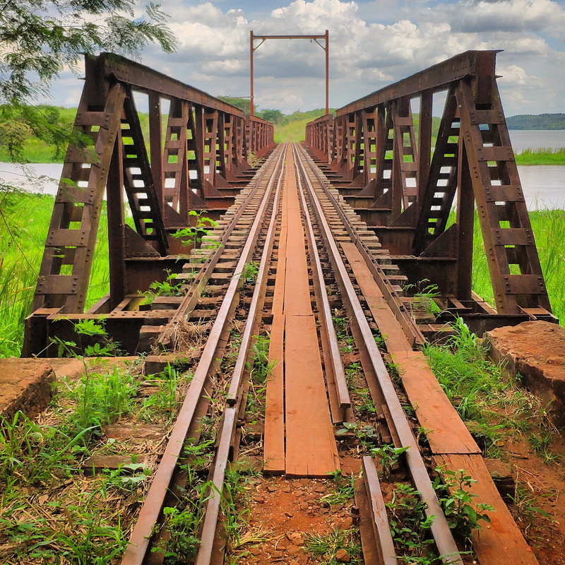 plant, day, track, no people, land, cloud - sky, the way forward, bridge, long, unnamed road, 1080P, diminishing perspective, nature, wood - material