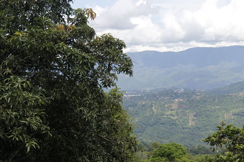 Natural Light, Salto de tequendama, 5K, mountains