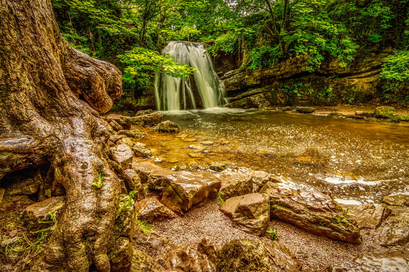 growth, plant, timelapse, tranquil scene, stream, cascade, tranquility, stream - flowing water, janets foss, janets foss, flowing, 5K, long exposure, yorkshire dales