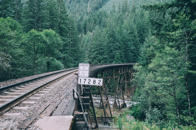 17282, tree, transportation, plant, pacific, pnw, forest, bridge, wood bridge, land, railroad track, train track, no people, steel, beauty in nature, nature