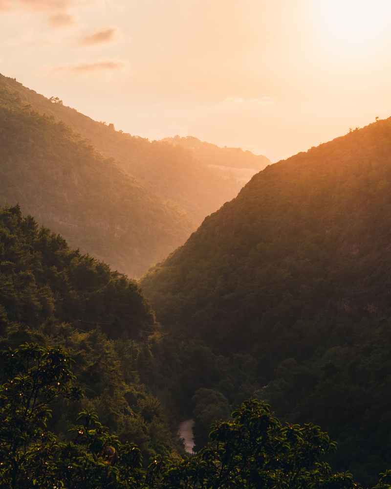 mountain,, warm, sun, tree, sunset, landscape, fog, heaven, tranquility, sunrise, outdoors, forest, woodland, middle east, hillside, plant