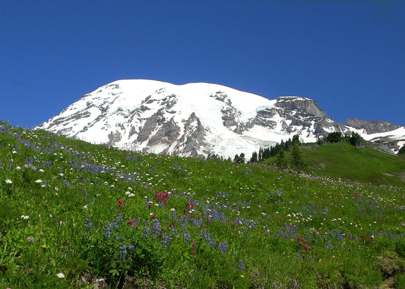 mountain Peak, Mount Rainier National Park, tranquil scene, snow, winter, Washington, blue, landscapes, scenics - nature, United States, european Alps