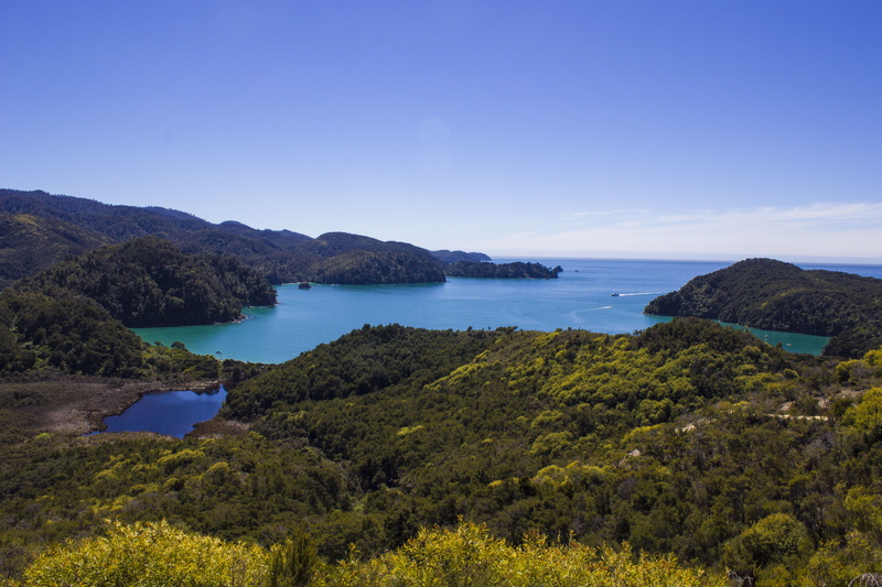 idyllic, tranquil scene, blue, 5K, beauty in nature, non-urban scene, sea, trees, paradise, day, water, mountain, sky, growth, south island, new zealand