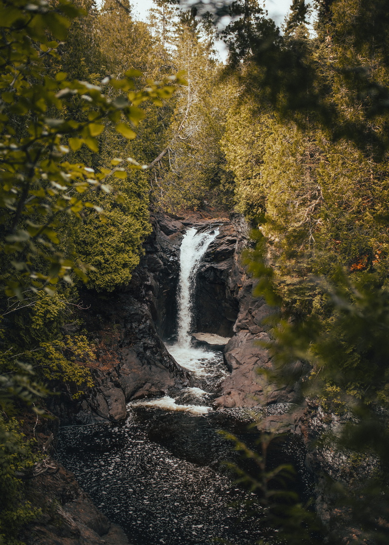 cataract, day, waterfall, rock, plants, springtime, leaves, flowing, environment, outdoors, paradise, wet, beauty In Nature, water, leaf, waterfalls, moss