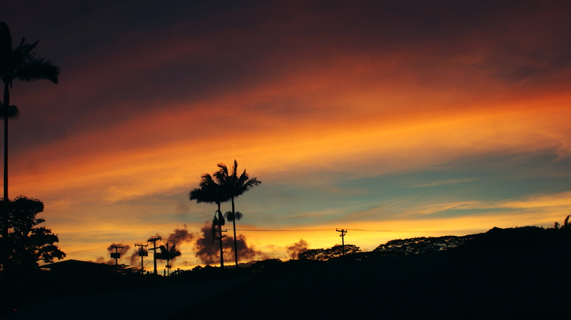 hawaii, beauty in nature, holiday, coniferous tree, tropical, ocean, cloud - sky, coconut trees, sunrise, no people, outdoor, evening, beach, sunlight