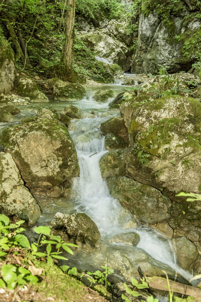 fresh, wild, leaves, stone, rock - object, cascade, tree, travel, in the, movement, 5K, paradise, landscape, styria, land, forest, water, solid, view