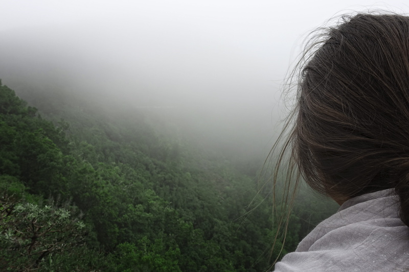 weather, nature, rear view, one person, clouds, real people, headshot, human, parque nacional de garajonay, hair, adult, forest, hairstyle, fog, portrait