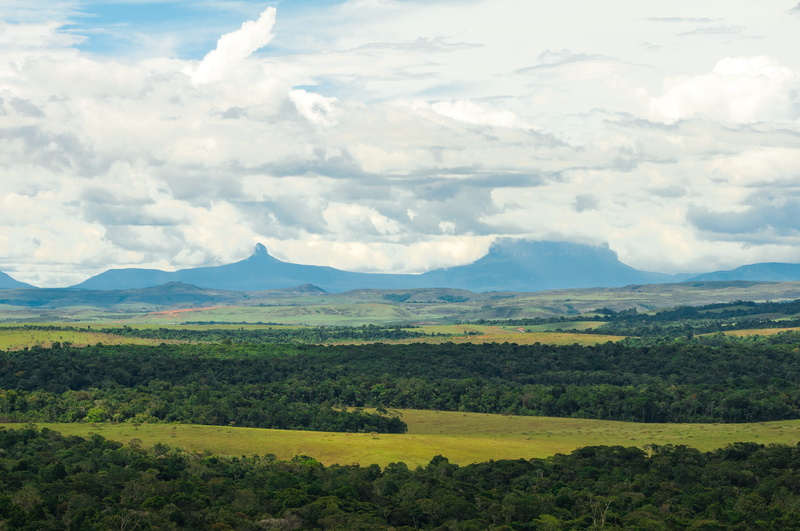 growth, gran sabana, non-urban scene, environment, tranquility, outdoors, landscape, green color, tree, day, cloud - sky, tranquil scene, mountain, plant