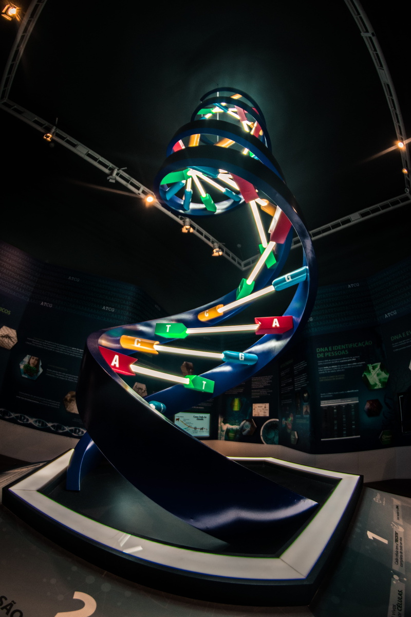 Masters, built structure, photography, architecture, science, sciencepics, são paulo, amusement park, motion, biology, speed, glowing, 5K, arts culture and entertainment