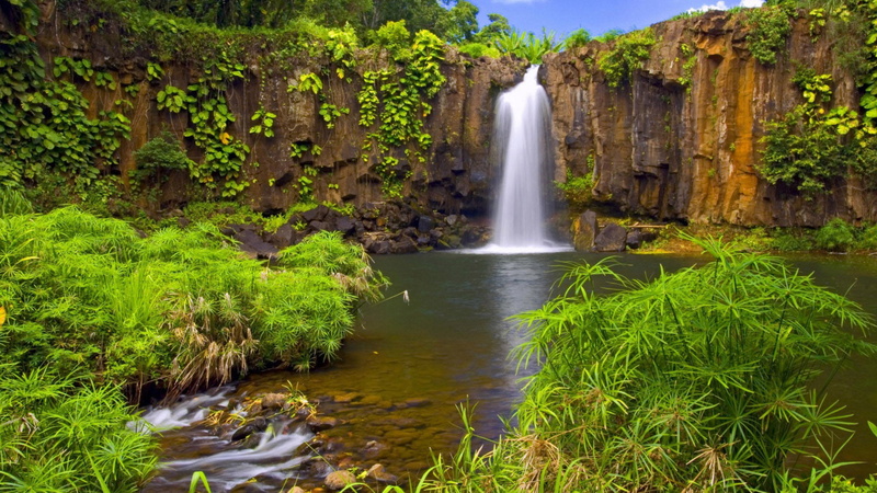 waterfall, hd, 1080P, rocks, water, pool, vegetation, tropical, ultra, shore, rocky, green, jungle