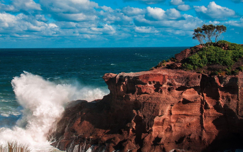 shore, wave, splashing, onto, brown, beaches, waves, tree, cloud, rock, cliff, water, rocky, 1080P, 1920x1200, ocean