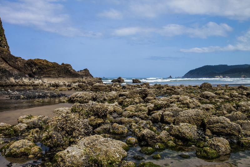 travel, Tidepools, coast, sand, nature, pacific, sky, rock, bay, no people, scenics - nature, waves, rock formation, outdoors, surf, rocky coastline, day