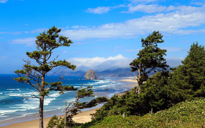 sky, Oregon, trees, clouds, beach, coast, USA, surf, reefs, sea, 4K, rocks, sand