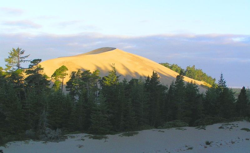 green, 1080P, oregon, trees, scenic, sand dune, coast, dune, pine, nature and landscapes