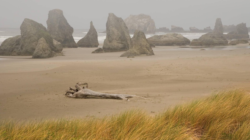 1080P, nature and landscapes, oregon, grass, foggy, bon, rocks, day, coast