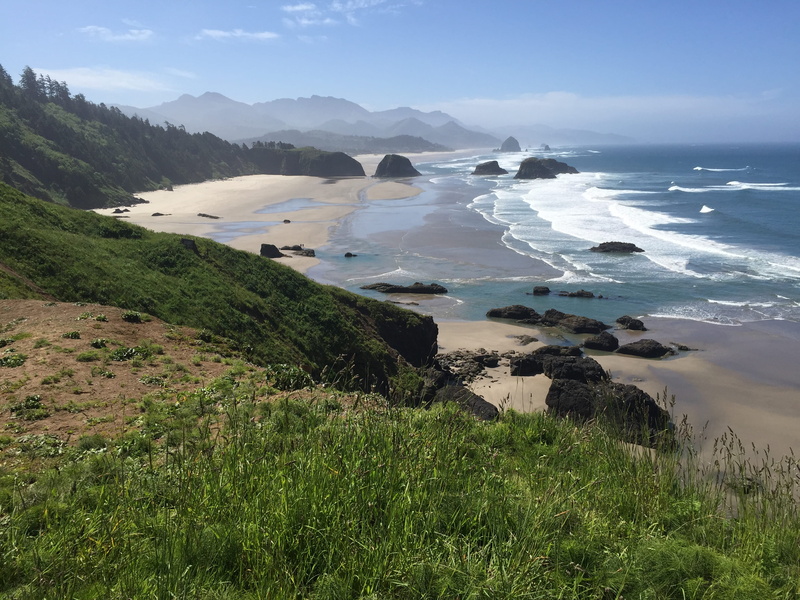 land, northwest, 2K, tranquility, no people, united states, sea, grass, sky, water, idyllic, scenics - nature, pacific, non-urban scene, coast, nature