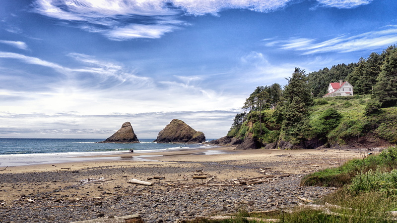 landscape photography, Sony a6000, scenics, beaches, summer, sand, sea, seashore, BandB, daytime, pine, coastline, beach, photography, Heceta Head, pine trees