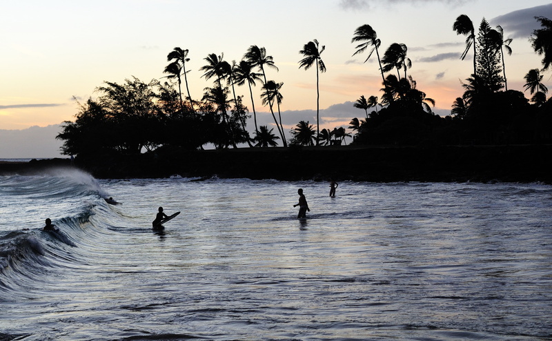 outdoors, silhouette, Bodyboarders, tree, waterfront, orange color, 4K, coconut, leisure activity, cloud - sky, Sports, scenics - nature, sunset, plant