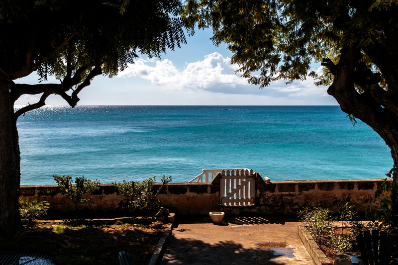green, tree, beach gate, no people, water, barbados, daytime, nature, atlantic ocean, sky, scenics - nature, growth, day, plant, leafed, outdoors, beauty in nature