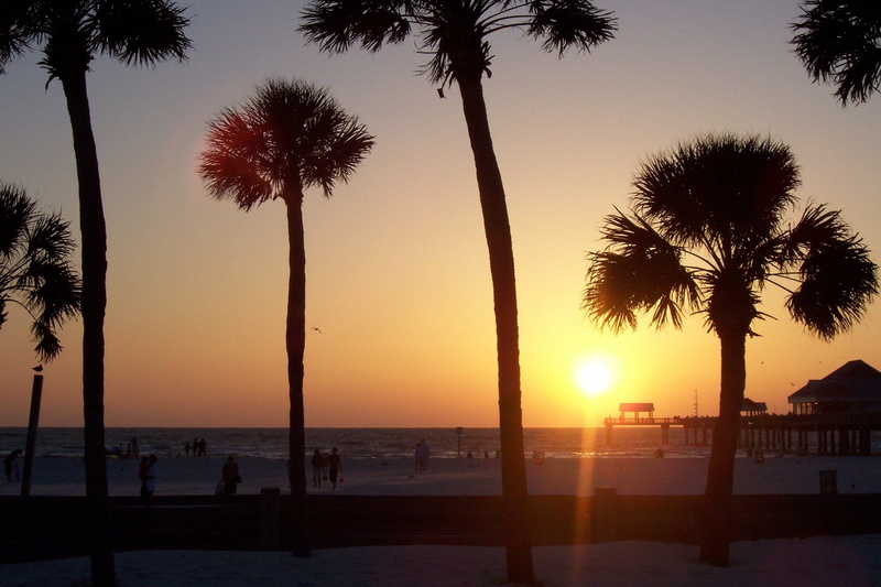 nature, tranquility, tropical climate, sun, scenics - nature, clearwater beach, outdoors, tree, plant, coconut palm tree, horizon over water, land, silhouette