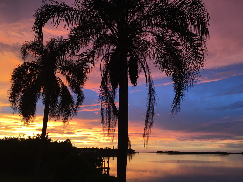 outdoors, cloud - sky, travel, golden, coconut, trees, tourism, summer, reflection, coast, paradise, horizon over water, evening, sunny, silhouette, 4K