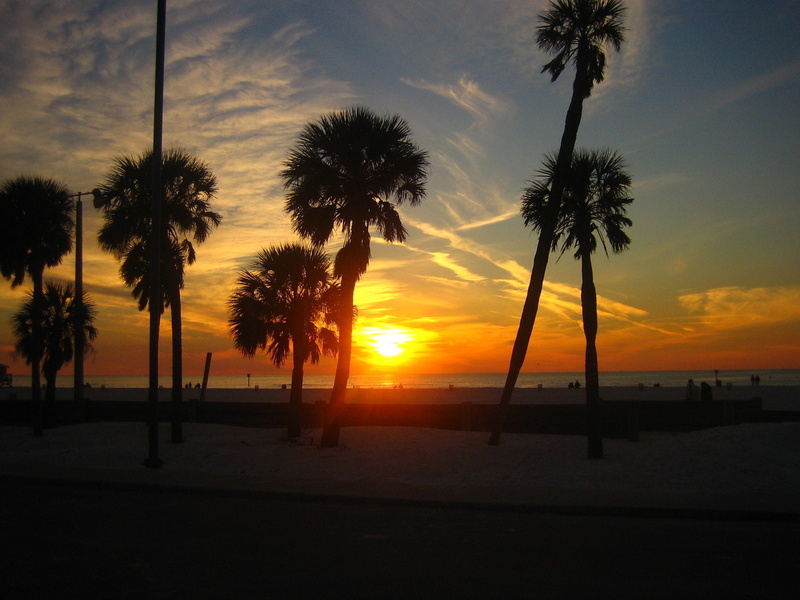sunset, sun, orange color, scenics - nature, outdoors, land, coconut palm tree, clearwater beach, tranquility, nature, tropical climate, tree, no people