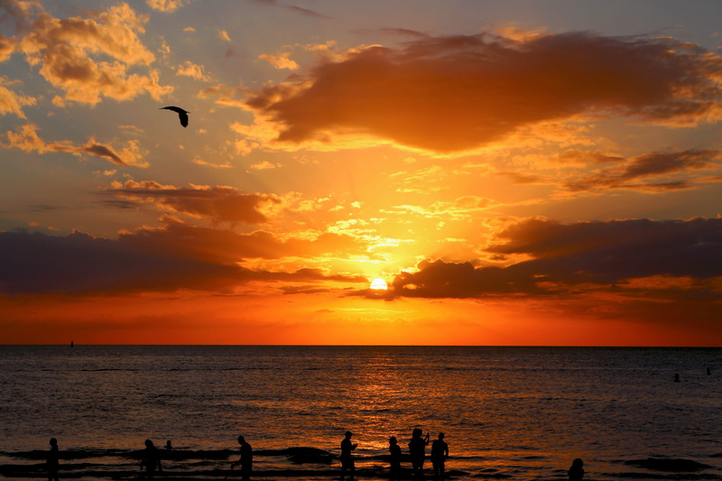 horizon, orange color, group of people, sun, scenics - nature, 4K, outdoors, beach, shoreline, tranquility, land, idyllic, people, silhouette, tranquil scene
