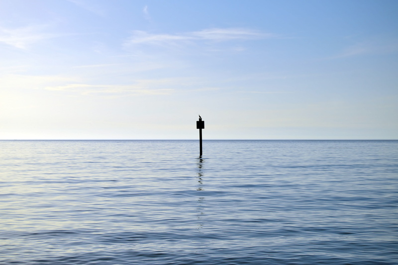 waterfront, horizon over water, nature, scenic, sky, paradise, scenics - nature, clearwater, colorful, bird, tranquil scene, clearwater beach, idyllic