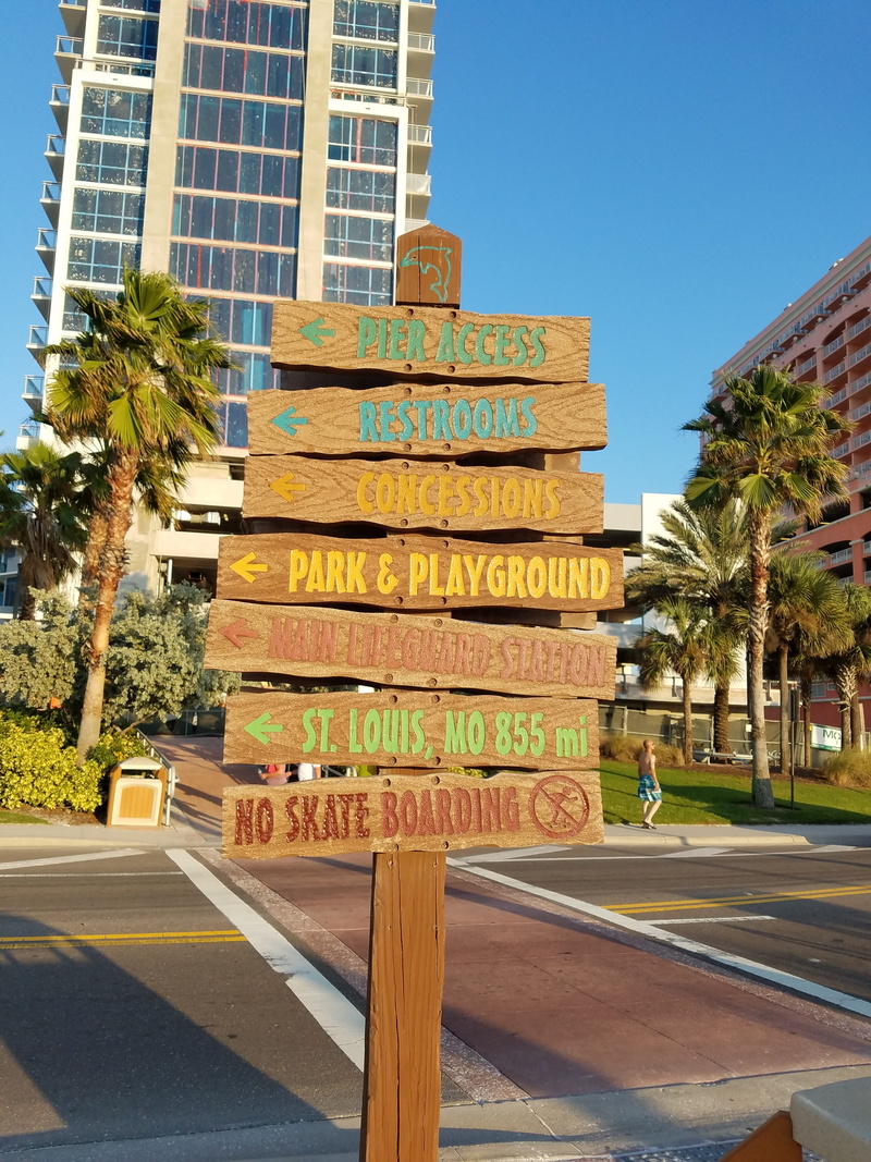 clearwater, skyscraper, palm tree, building exterior, road, street, day, 4K, building, city, no people, beach, tree, nature, built structure, sky, plant