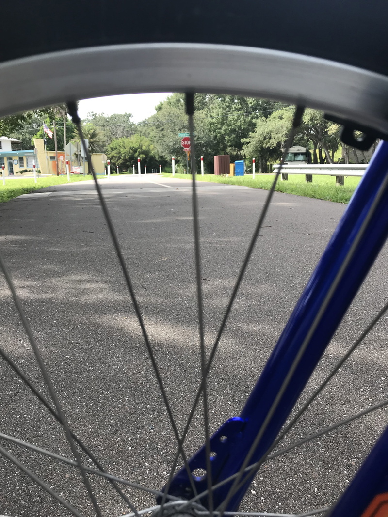 tree, road, no people, bicycle, plant, bike ride, usa, tarpon springs, trail, land vehicle, mode of transportation, outdoors, pinellas trail, car, grass
